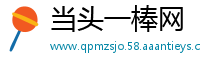当头一棒网